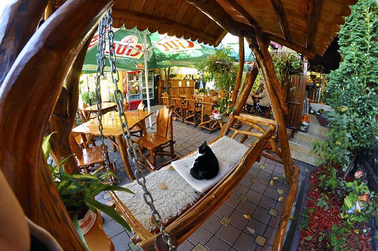 Casa Belazur Hotel Deva Ngoại thất bức ảnh